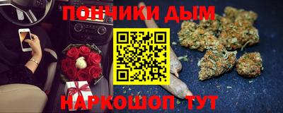 гашик Кингисепп