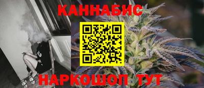 гашик Кингисепп