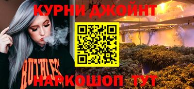гашик Кингисепп