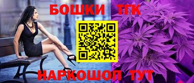 гашик Кингисепп