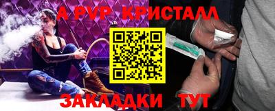 гашик Кингисепп