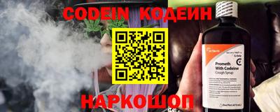 гашик Кингисепп
