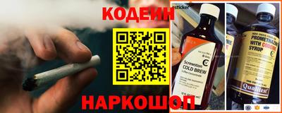 гашик Кингисепп