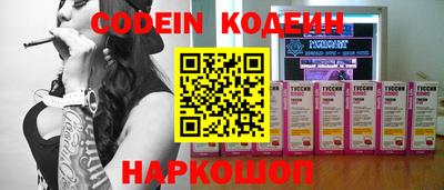 гашик Кингисепп
